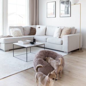 FUZZ-6.jpg Hondendonut XL Zand