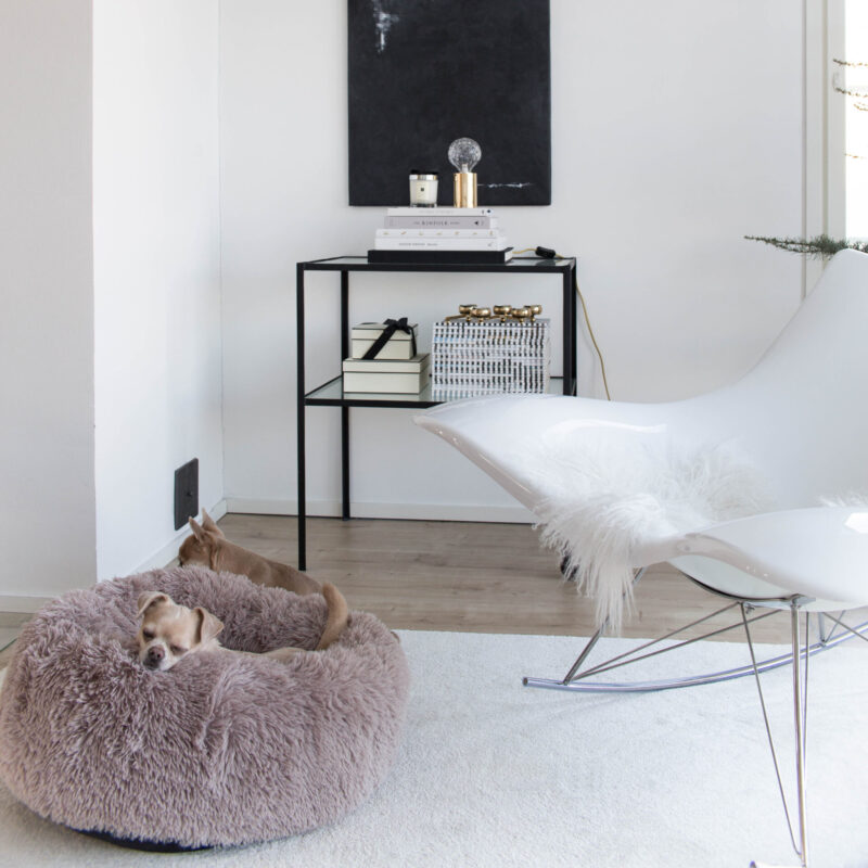 FUZZ.jpg Hondendonut XL Zand