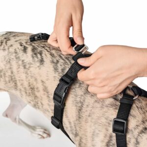 HUNTER_11203_66200_002_image_18-lpr.jpg Anti-ontsnappingstuig Zwart