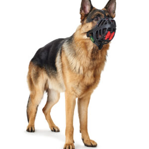 HUNTER_12289_65545_001_image_18-lpr.jpg Muilkorf Albury