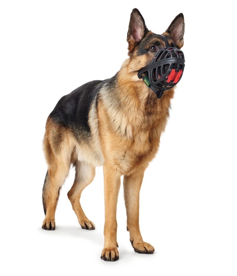 HUNTER_12289_65545_001_image_18-lpr.jpg Muilkorf Albury