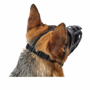 HUNTER_12292_65545_003_image_18-lpr.jpg Muilkorf Albury