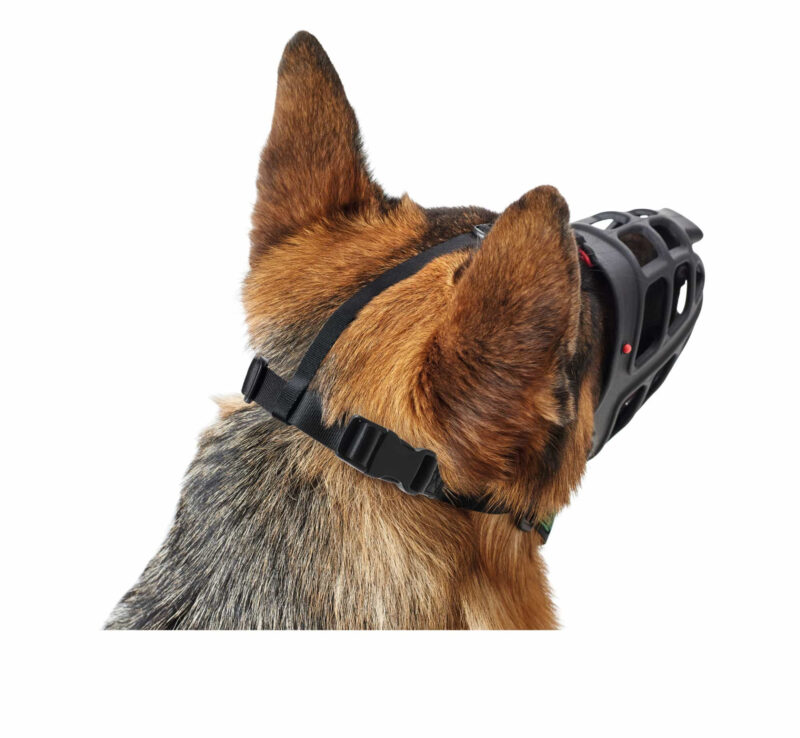 HUNTER_12292_65545_003_image_18-lpr.jpg Muilkorf Albury