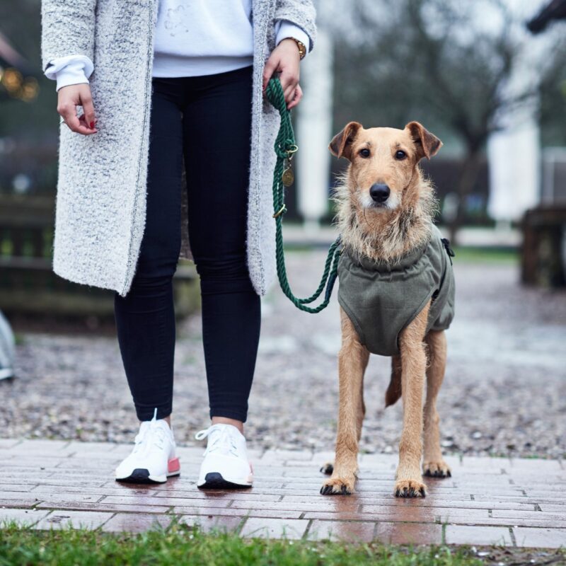 HUNTER_13461_66222_002_live_18-lpr.jpg Hondenjas Khaki