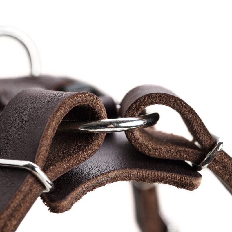 Leren Hondentuig Bruin