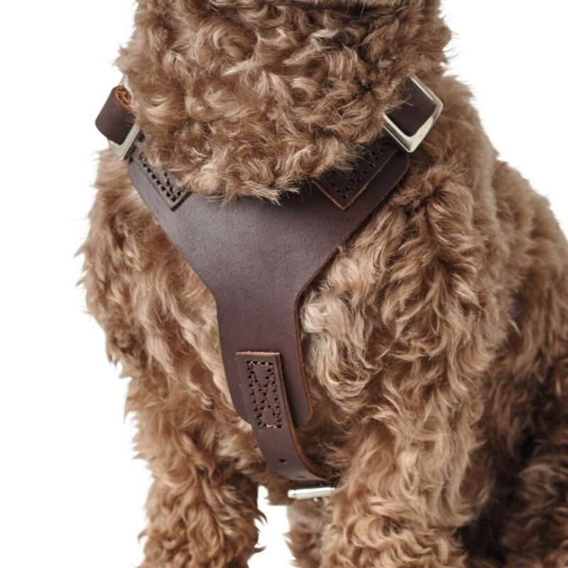 Leren Hondentuig Bruin