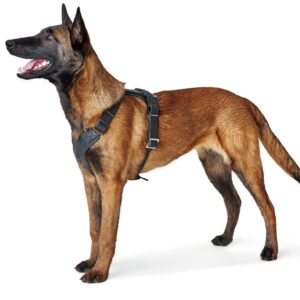 HUNTER_15103_67324_001_image_19-lpr.jpg Leren Hondentuig Zwart