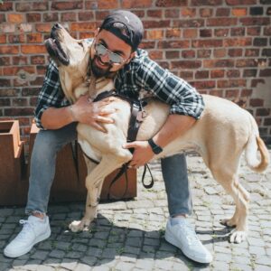 Leren Hondentuig Bruin