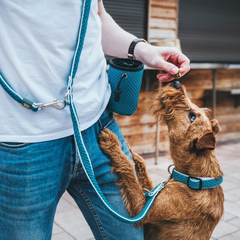 HUNTER_15625_67398_001_live_19-lpr-kopie.jpg Beloningstas Hilo Turquoise