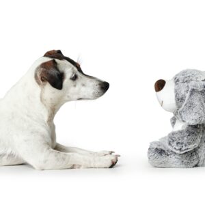 HUNTER_15972_67451_002_image_19-lpr-kopie.jpg Hondenknuffel Bello