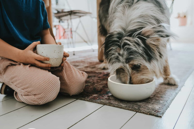 Keramische Voerbak Wit