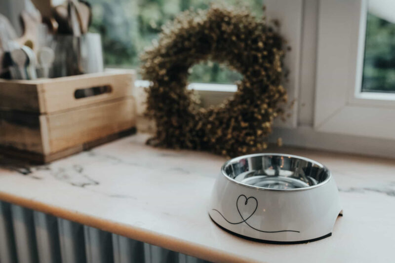 HUNTER_16730_67659_001_live_19-lpr.jpg Melamine Voerbak Valencia