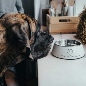 HUNTER_16732_67659_002_live_19-lpr.jpg Melamine Voerbak Valencia