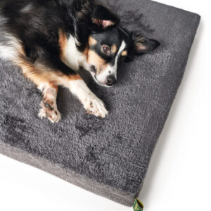 HUNTER_16771_67692_003_image_19-lpr.jpg Orthopedische Hondenmat Tirano