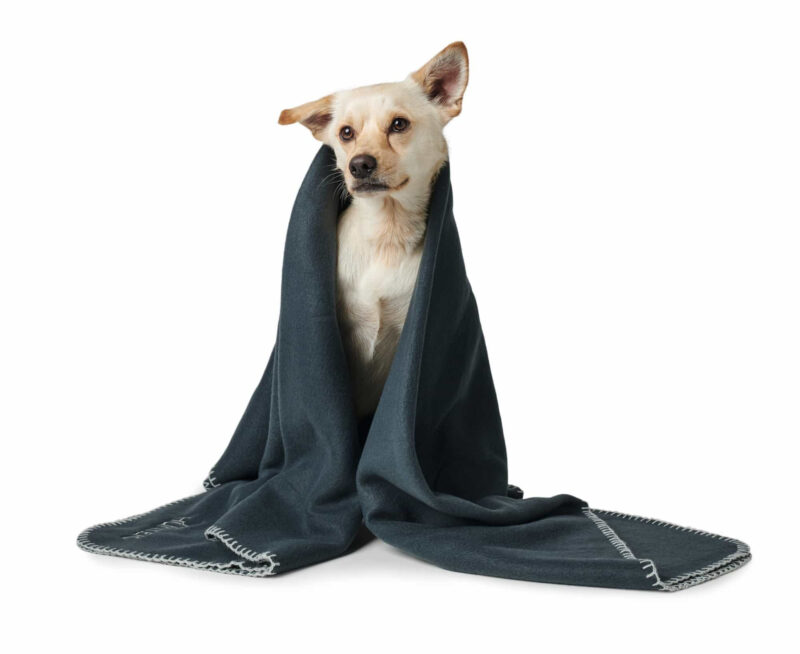 HUNTER_16772_67705_001_image_19-lpr.jpg Fleece Hondendeken Antraciet