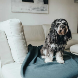 HUNTER_16773_67705_001_live_19-lpr.jpg Fleece Hondendeken Antraciet