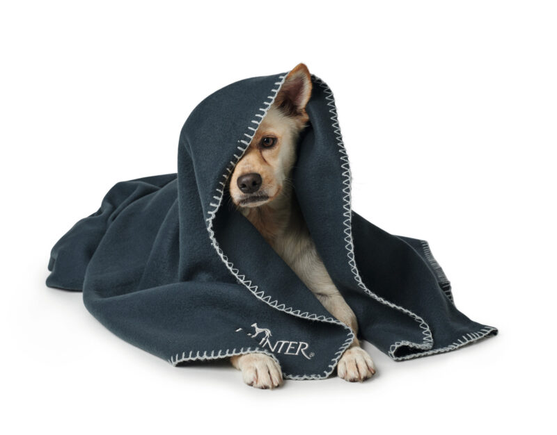 HUNTER_16774_67705_002_image_19-lpr.jpg Fleece Hondendeken Antraciet