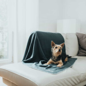 HUNTER_16776_67705_003_live_19-lpr.jpg Fleece Hondendeken Antraciet