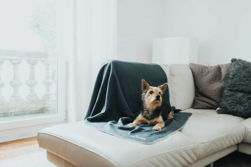 HUNTER_16776_67705_003_live_19-lpr.jpg Fleece Hondendeken Antraciet