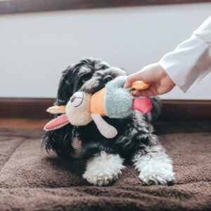 Hondenknuffel Konijn