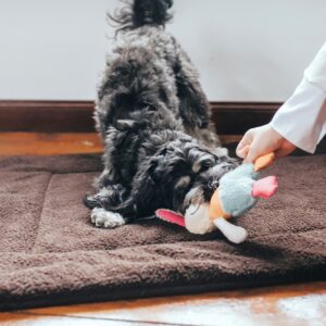 Hondenknuffel Konijn