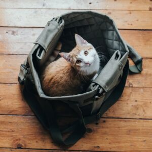 HUNTER_16857_67680_003_live_19-lpr.jpg Hondentas & Hondendeken Khaki