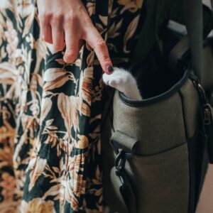 HUNTER_16860_67679_006_live_19-lpr.jpg Hondentas Khaki