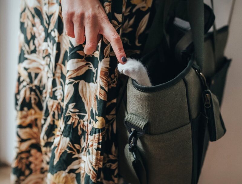 HUNTER_16860_67679_006_live_19-lpr.jpg Hondentas Khaki