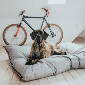 Hondenkussen Groot XXL (175 x 145 CM)