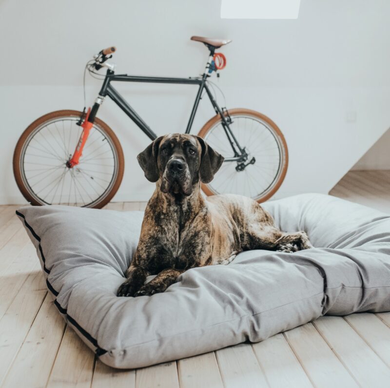 Hondenkussen Groot XXL (175 x 145 CM)