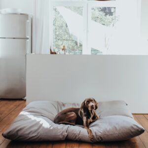 Hondenkussen Groot XXL (175 x 145 CM)