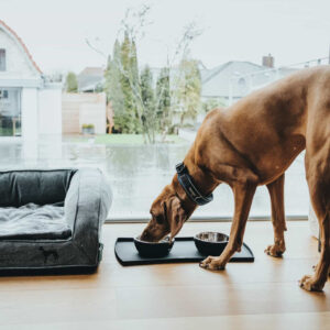 HUNTER_17792_67615_002_live_20-lpr.jpg Placemat Siliconen Zwart