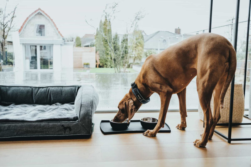 HUNTER_17792_67615_002_live_20-lpr.jpg Placemat Siliconen Zwart