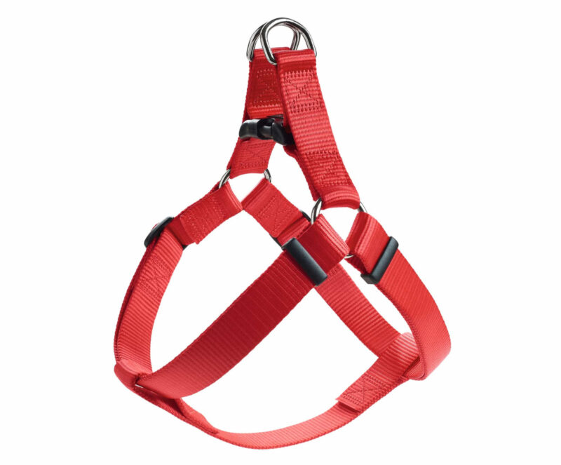 HUNTER_18819_91054_001_20-lpr.jpg Y Tuig Hond Rood