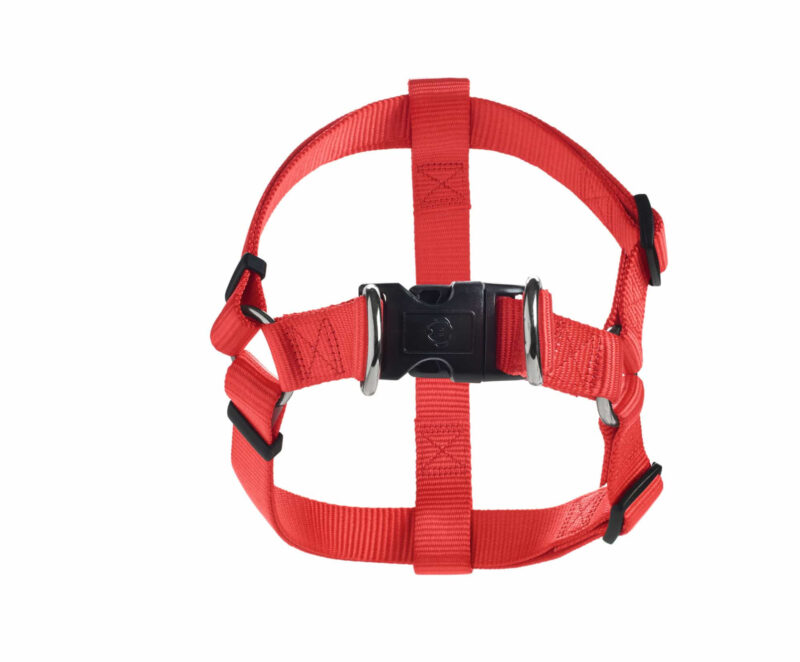 HUNTER_18820_91054_002_20-lpr.jpg Y Tuig Hond Rood