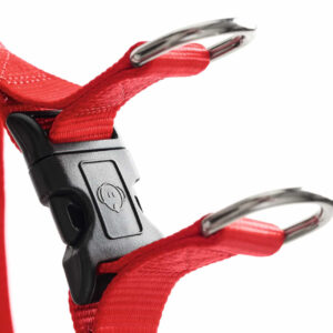 HUNTER_18821_91054_003_20-lpr.jpg Y Tuig Hond Rood