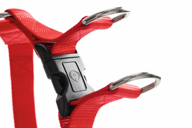 HUNTER_18821_91054_003_20-lpr.jpg Y Tuig Hond Rood