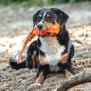 Hundespielzeug / Dog toy AQUA AVIO Knochen Waterspeelgoed Hondenbot Oranje