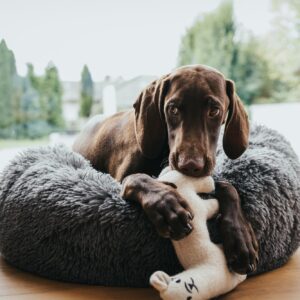 Hunde- und Katzenschlafplatz / Dog and cat bed LOPPA anthrazit Donut Hondenmand Grijs