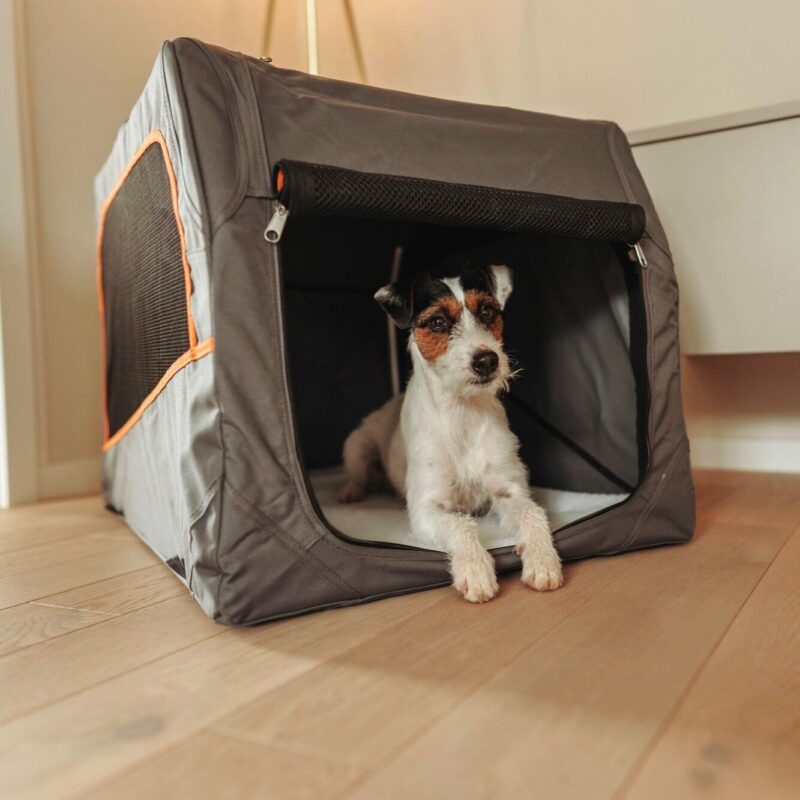 Hundetransportbox Reisbench Hond Opvouwbaar Grijs