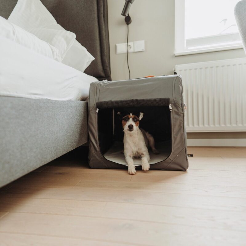 Hundetransportbox Reisbench Hond Opvouwbaar Grijs