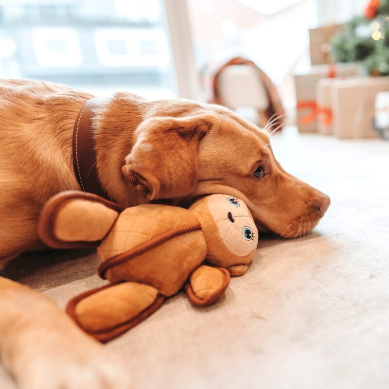 Hundespielzeug / Dog toy TOUGH TOYS Affe Hondenknuffel Sterke Aap