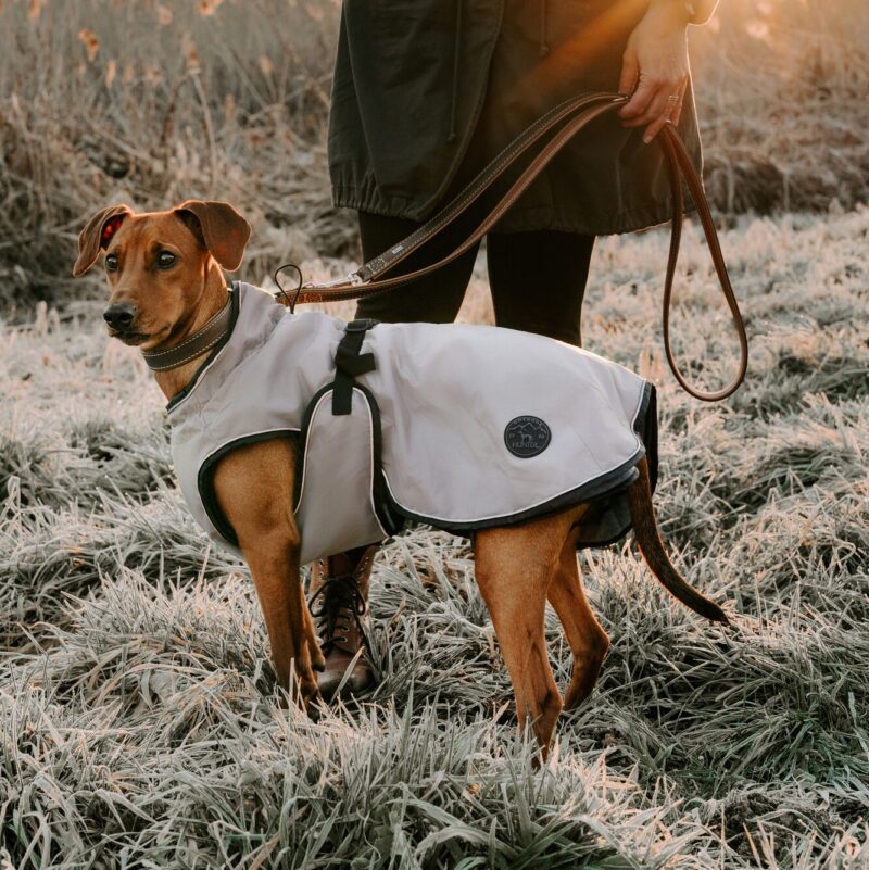 HUNTER_21206_62955_001_live_22-lpr.jpg Hondenjas Taupe