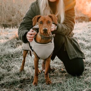 Hundemantel / Dog coat UPPSALA TREND khaki Hondenjas Taupe