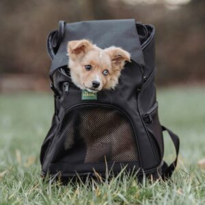 Hondenrugzak & Vliegtas