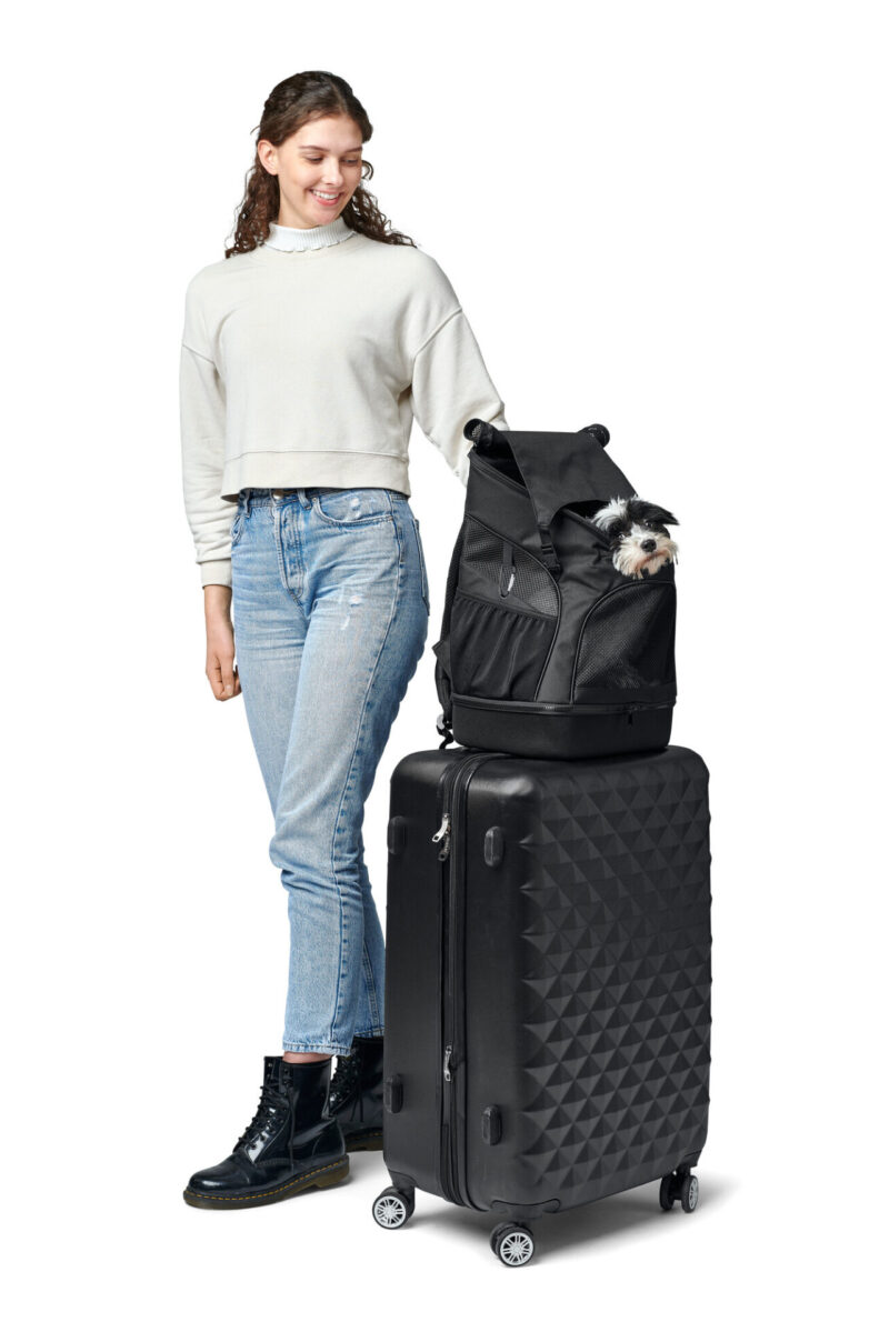 Hondenrugzak & Vliegtas