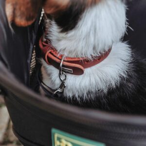 Hondenrugzak & Vliegtas