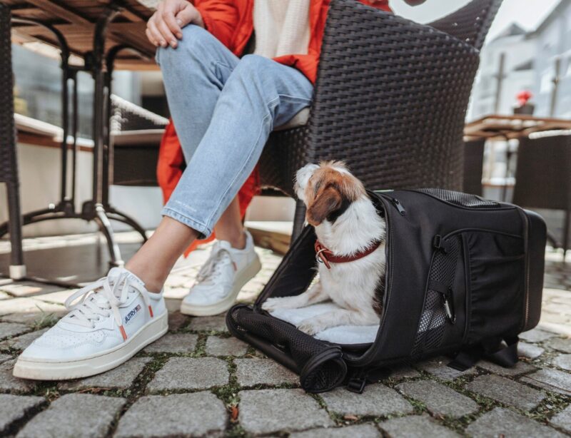 Hondenrugzak & Vliegtas