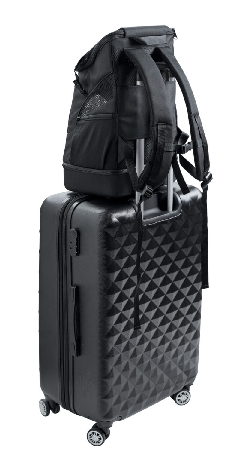 Hondenrugzak & Vliegtas