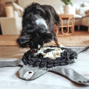 Hundespielzeug / Dog Toy BILLUND Bär Schnüffelteppich Snuffelmat Beer - 100% Gerecycled Materiaal